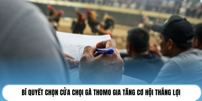 Bí quyết chọn cửa chọi gà Thomo gia tăng cơ hội thắng lợi