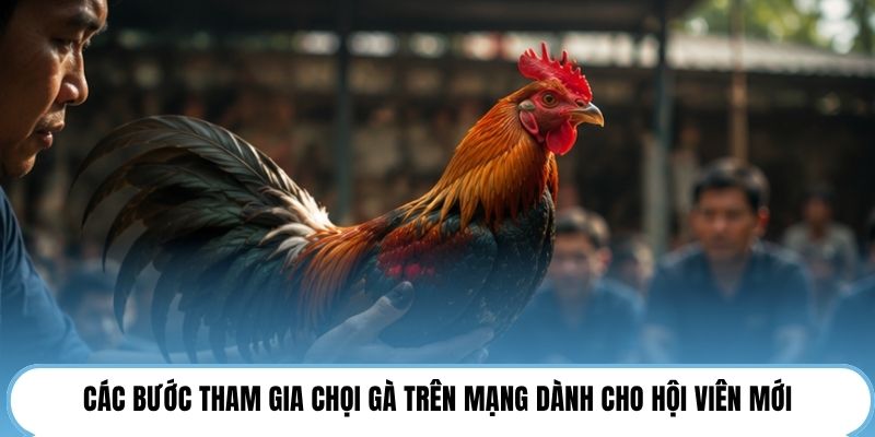 Các bước tham gia chọi gà trên mạng dành cho hội viên mới