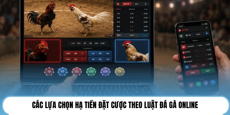 Các lựa chọn hạ tiền đặt cược theo luật đá gà online
