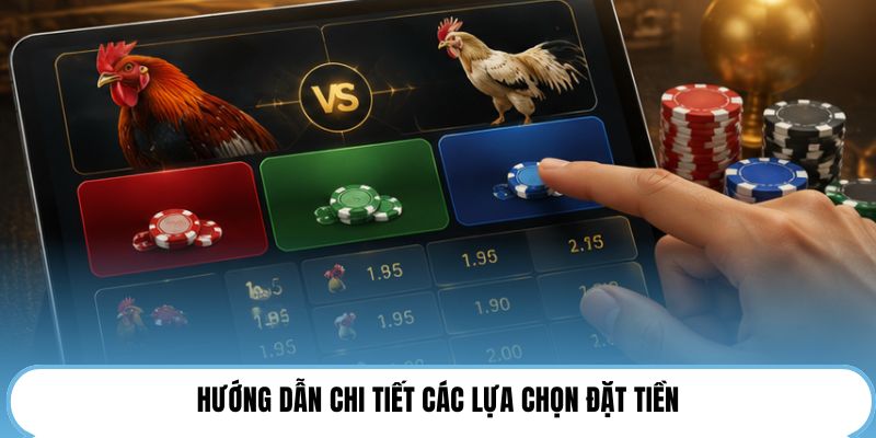 Hướng dẫn chi tiết các lựa chọn đặt tiền
