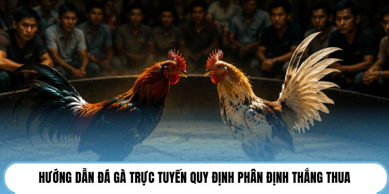 Hướng dẫn đá gà trực tuyến quy định phân định thắng thua
