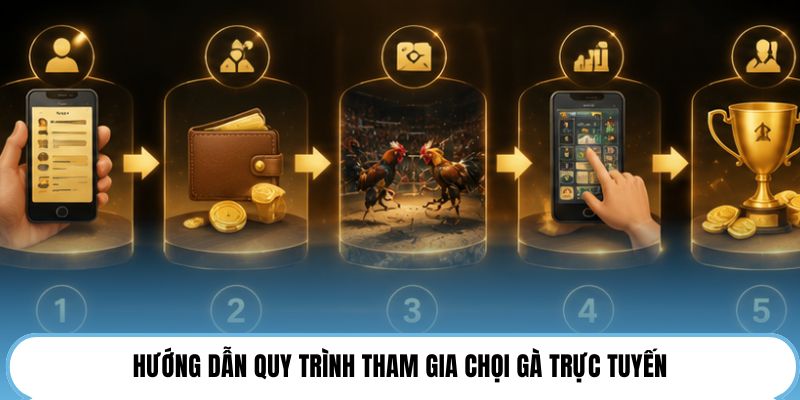 Hướng dẫn quy trình tham gia chọi gà trực tuyến