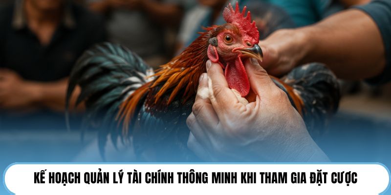 Kế hoạch quản lý tài chính thông minh khi tham gia đặt cược