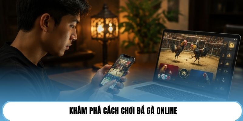 Khám phá cách chơi đá gà online