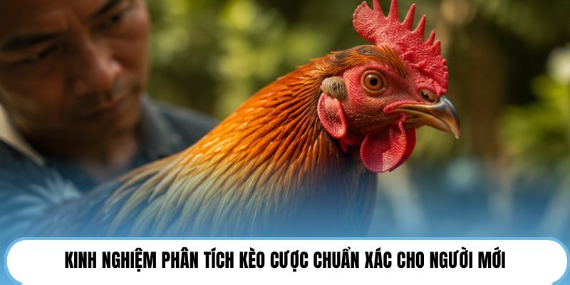 Kinh nghiệm phân tích kèo cược chuẩn xác cho người mới