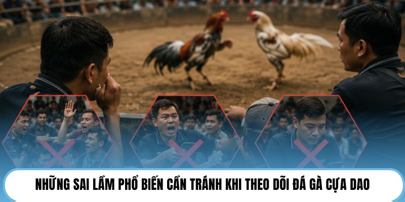 Những sai lầm phổ biến cần tránh khi theo dõi đá gà cựa dao