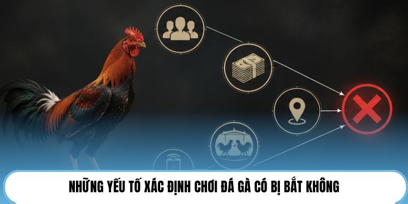 Những yếu tố xác định chơi đá gà có bị bắt không