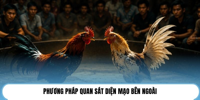Phương pháp quan sát diện mạo bên ngoài