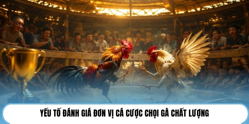 Yếu tố đánh giá đơn vị cá cược chọi gà chất lượng